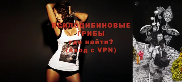 тгк Зеленодольск
