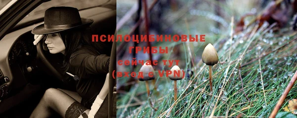 амфетамин Зерноград