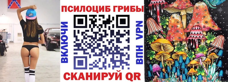 Псилоцибиновые грибы Cubensis  Купить где  Калязин 